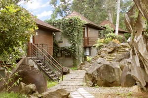  INFO WISATA: Liburan di The Green Forest Resort Bandung, pulangnya segar kembali!