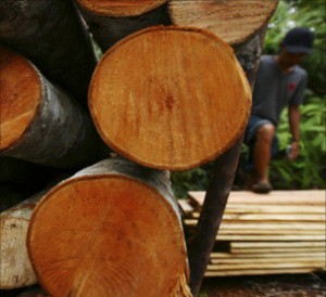  KAYU: Harga patokan tidak pakai harga beli industri