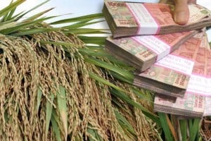  Petani mitra binaan Alamanda dapat pinjaman modal ventura