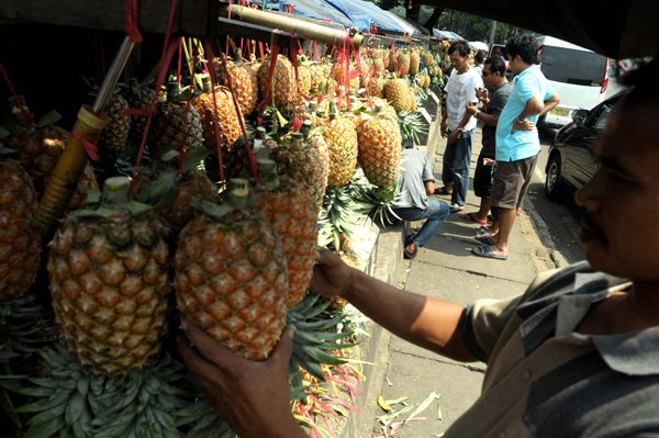  FOTO: Nanas "Si Madu" primadona di tengah gempuran buah impor