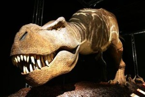 Ada pengusaha yang ganti nama asli jadi T-Rex!