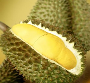  DURIAN: Thailand kenalkan varietas tanpa biji dan bau