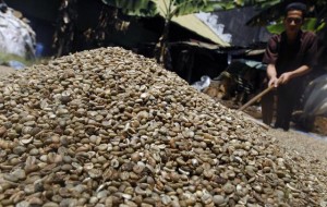  HARGA KOMODITAS: Kopi dan kapas bebani indeks 