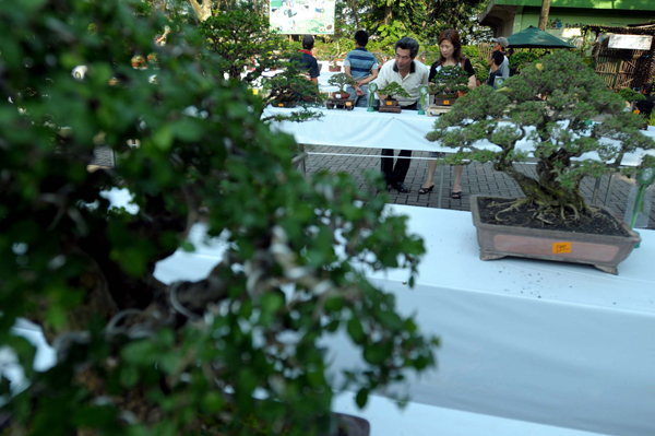  FOTO: Festival Bonsai di Kota Baru Parahyangan