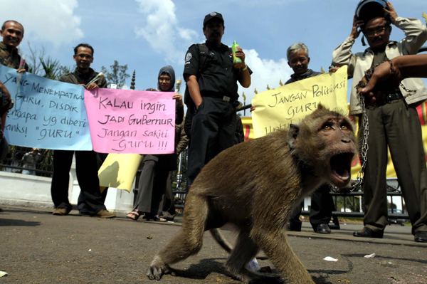  FOTO: Guru Demo di Gedung Sate Sambil Bawa Monyet