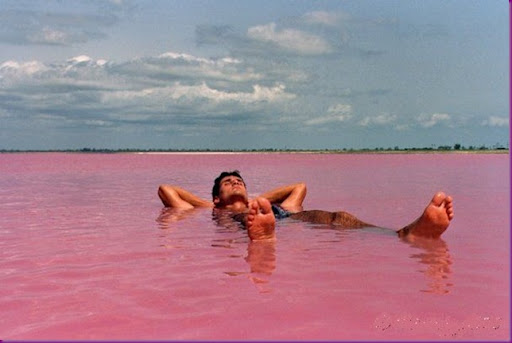  Air Danau Ini Berwarna Pink. Percaya?