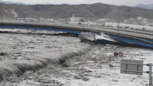  TSUNAMI JEPANG: Puing Dermaga Tersapu Hingga AS