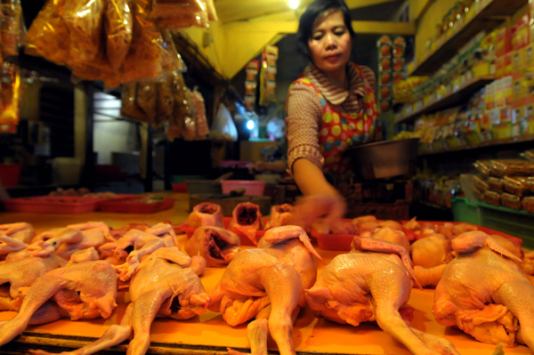  FOTO: Pedagang Ayam Kota Bandung Mengeluh