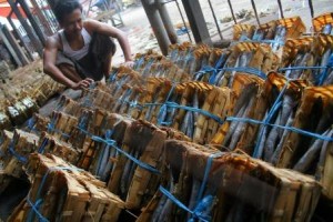  Ikan Pindang Salem dan Layang Paling Digemari