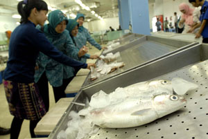  Tingkat Konsumsi Ikan di Kab. Bandung Masih Rendah