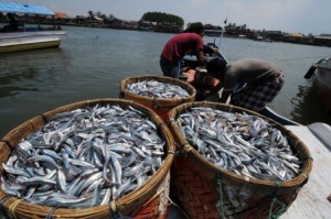  Jabar Targetkan Konsumsi Ikan 28,39 Kg/Kapita/Tahun