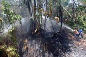  Thailand Selatan Kena Dampak Kebakaran Hutan Indonesia