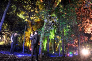  Kemenparekraf Apresiasi Helarfest 2012