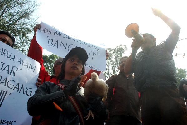  FOTO: Pedagang Ayam se-Bandung Raya Ancam Mogok dan Sweeping