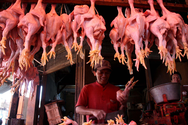  FOTO: Tekan Harga, Pangkas Jalur Distribusi Daging Ayam 