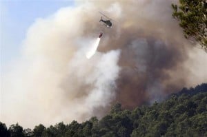  Perhutani Jabar Banten Waspadai Kebakaran Hutan