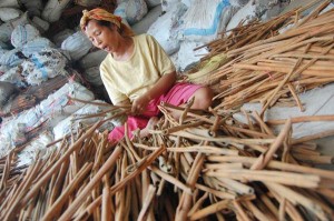  Harga Kulit Kayu Manis di Palembang Naik