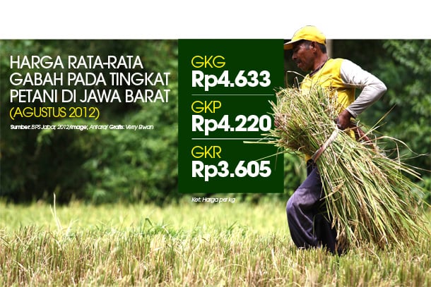  DATA BISNIS: Harga Rata-rata Gabah di Jabar pada Agustus 2012