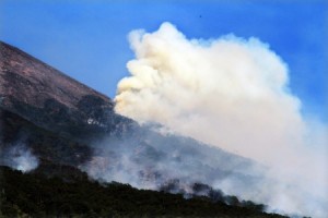  KEBAKARAN HUTAN: 19 Blok Kawasan Hutan TNGC Kuningan Terbakar