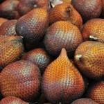  Petani Buah Salak Manonjaya Sempoyongan