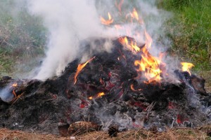  Nenek Renta Tewas Terbakar Saat Bakar Sampah