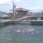  PJB Gelar Lokakarya Penyusunan Masterplan Waduk Cirata