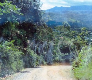  Penampakan Hantu Tawanan Perang Dunia II di Kalimantan, Percaya?