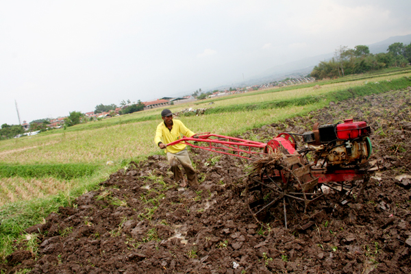  FOTO: Petani di Bandung Garap Sawah Gunakan Traktor