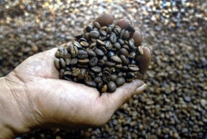  10 Kopi Termahal Di Dunia