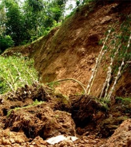  Longsor di Tasikmalaya, 1 Rumah Hancur 13 Dikosongkan