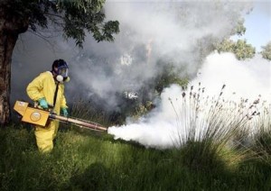  Kasus DBD di Cimahi Naik 40%
