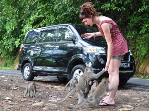  Pengembangan Wisata Alam di Kuningan Terganjal Regulasi