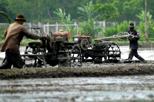  FOTO: Penambahan Sawah Baru Terkendala Hak Kepemilikan