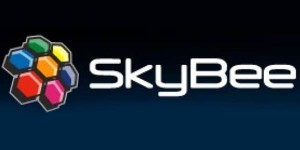  SKYBEE Beli 51% Saham Skye Sab Indonesia