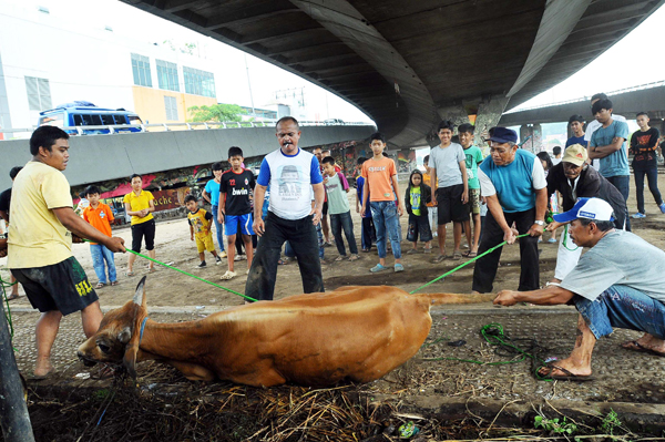  FOTO: Warga Kolong Jembatan Pasupati Berkurban