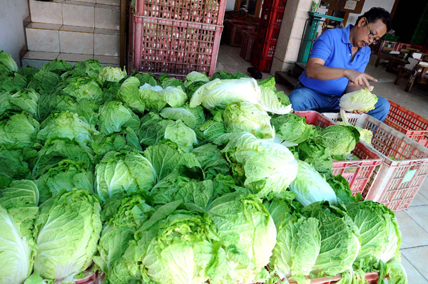  FOTO: Ekspor Hortikultura Butuh Pengembangan Kawasan Pertanian