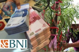  BNI Tasik Realisasikan Kredit Budi Daya Cabai Merah Rp2,9 Miliar