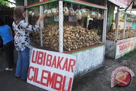  UBI CILEMBU: Produk Unggulan Jabar Yang Sudah Dipatenkan