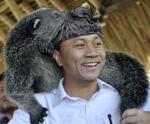  HEWAN LANGKA: Menhut Zulkifli Hasan Bakar Ratusan Awetan