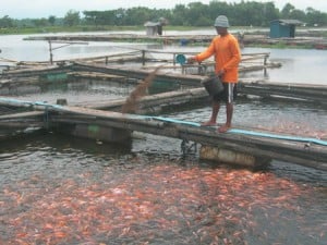  BANJIR BANDUNG: Petani Ikan Akui Produksi Terganggu