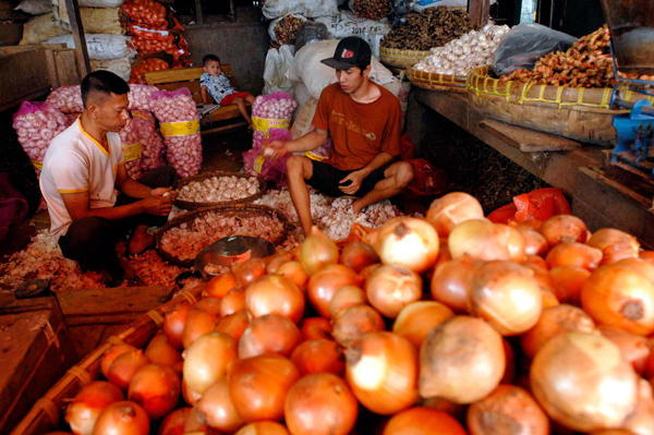  FOTO: Regulasi Impor Hortikultura Dikhawatirkan Tekan Petani 