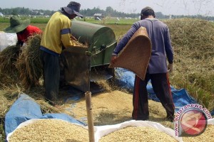  Pembangunan Lumbung Padi Harus Tersebar di Setiap Desa
