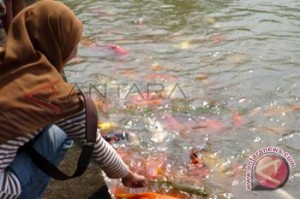  Hadapi Arus Balik, Puluhan Ribu Petani Ikan Resah