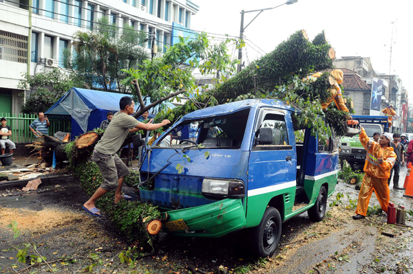  FOTO: Pohon Tumbang Timpa Angkot di Jalan Otista