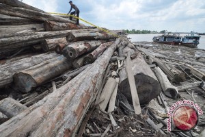  Illegal Loging Belum Ditemukan di Kabupaten Bandung