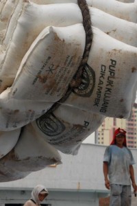  PUPUK KUJANG Akan Bangun Pabrik NPK