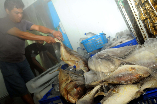  FOTO: Pasok Ikan Laut ke PIH Gedebage Turun 50%