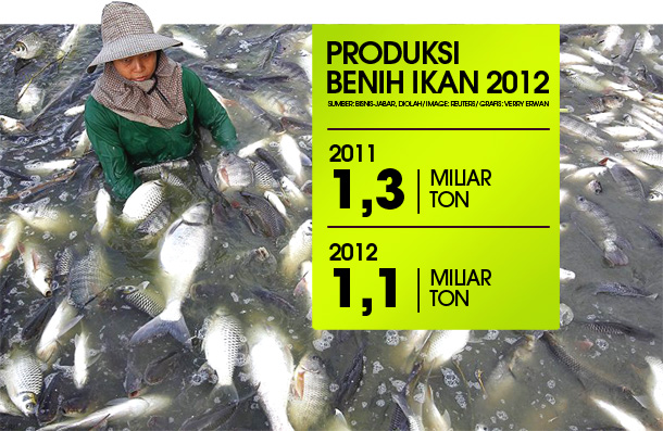  DATA BISNIS: Produksi Benih Ikan 2012 di Kab. Bandung 1,3 Miliar Ton