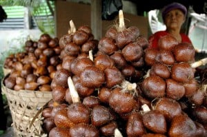  SALAK PONDOH TASIK: Wisman Malaysia Pun Pernah Sambangi Lokasi Agrowisata