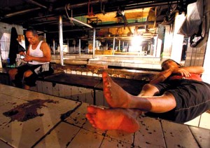  DAGING SAPI: Stok Sapi Banyak, Harusnya Tidak Ada Pemogokan
